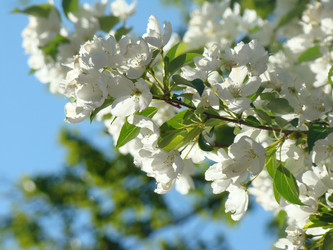 Similar image 1083345