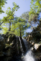 Similar image 1083355