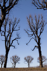 Similar image 1083375