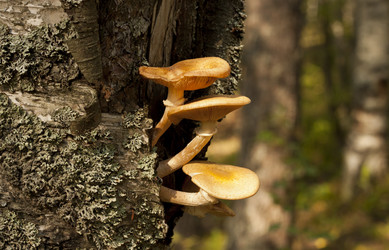 Similar image 1083376