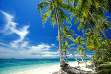 Similar image 1084785