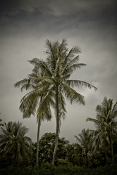 Similar image 1084788