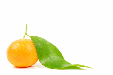 Similar image 1084797