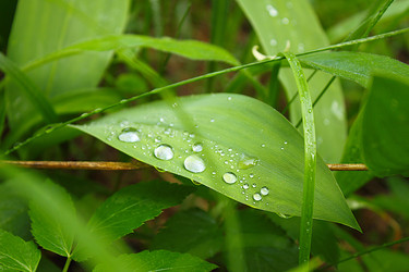 Similar image 1084812