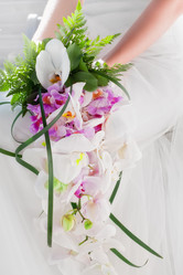 Similar image 1084851