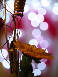 Similar image 1084873