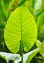 Similar image 1084874