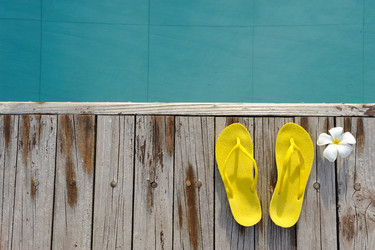 Similar image 1084936