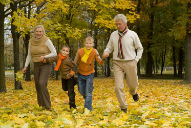 Similar image 1084992