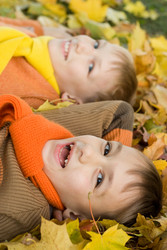 Similar image 1084989