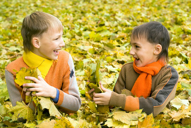 Similar image 1085003