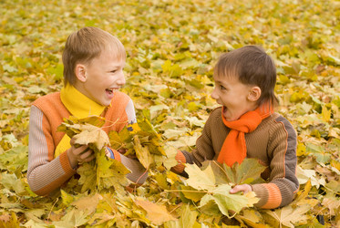 Similar image 1085004