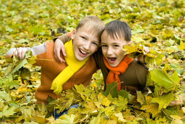 Similar image 1085007