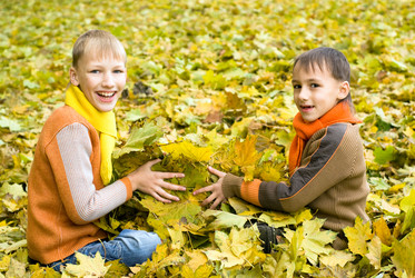 Similar image 1085009