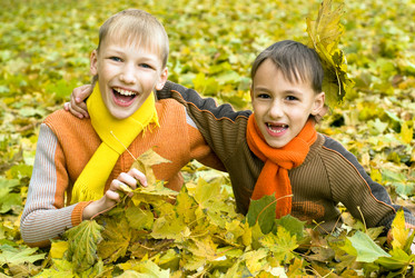 Similar image 1085005