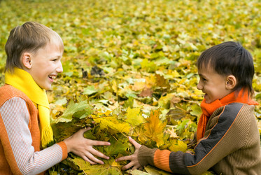 Similar image 1085006