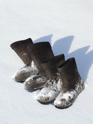 Similar image 1085019