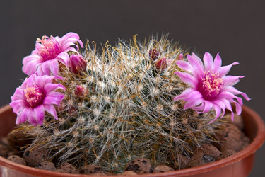 Similar image 1085029