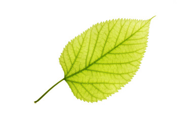 Similar image 1085061