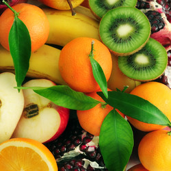 Similar image 1085116