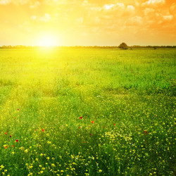 Similar image 1085117