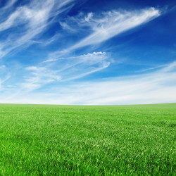 Similar image 1085118