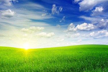 Similar image 1085123