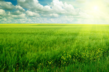 Similar image 1085143