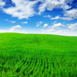 Similar image 1085151