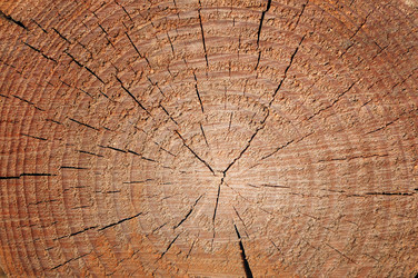 Similar image 1085167