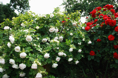 Similar image 1085173