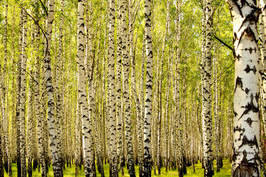 Similar image 1085179