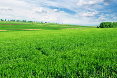 Similar image 1085190