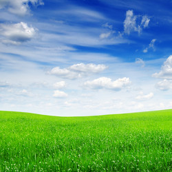 Similar image 1085228