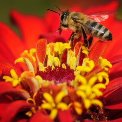 Similar image 1085233