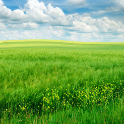 Similar image 1085234