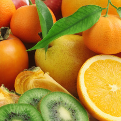 Similar image 1085243