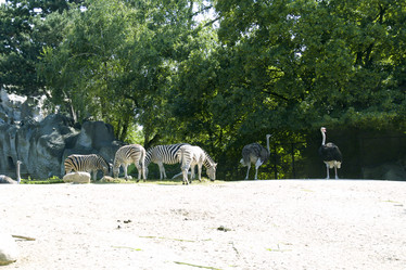 Similar image 1085359