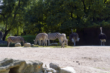 Similar image 1085360