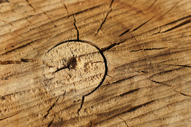 Similar image 1085385