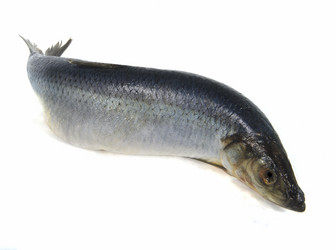 Similar image 1085410