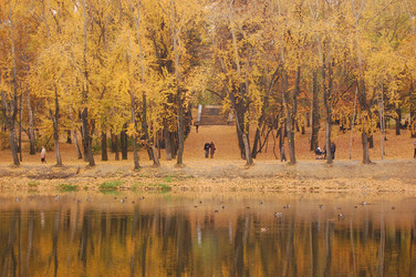 Similar image 1085440