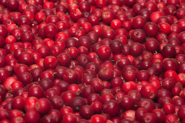 Similar image 1085471