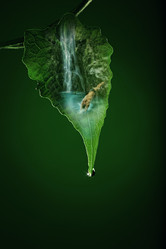 Similar image 1085558