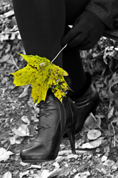 Similar image 1085574