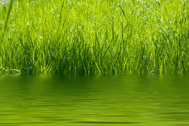 Similar image 1085584