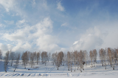 Similar image 1085604