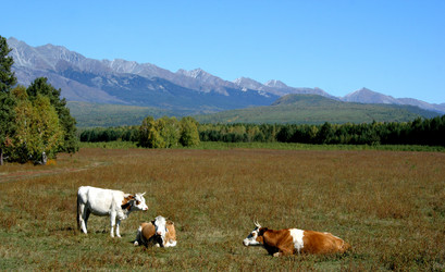 Similar image 1085612