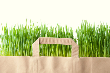 Similar image 1085631