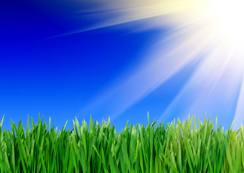 Similar image 1085726